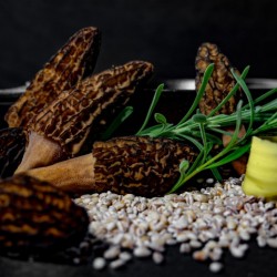 Morels & Barley 1